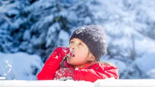 Врач объяснила, что будет, если съесть снег или лизнуть сосульку