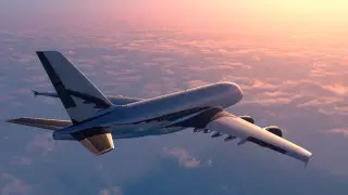 Авиакомпанию обвинили в поощрении ожирения