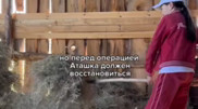 Астанчанка снимает ролики об ауле и собирает миллионные просмотры