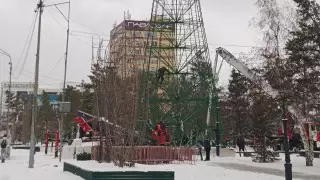 Павлодардағы бас шыршаның бағасы құзырлы орындардың назарын аудартып отыр