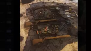 Внедорожник с убитыми косулями задержали в Павлодарской области