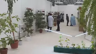 Необычная подземная теплица-термос появилась в Караганде