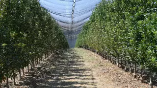 Итоги 2023 года: сколько неиспользуемых земель вернули в Казахстане