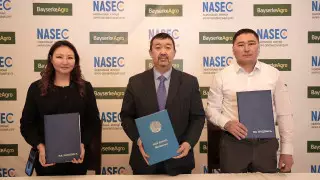 В Казахстане подписали меморандум по возрождению костанайской породы лошадей