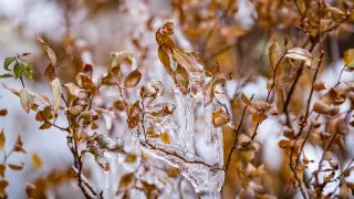 Какой будет погода во вторник, 26 декабря, в Казахстане