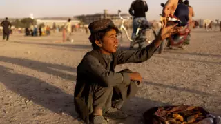 Казахстан окажет гуманитарную помощь трем странам: в министерстве заявили об ошибке в сумме