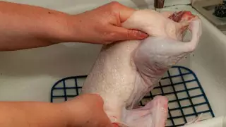 Это может быть опасно для жизни: эксперты рассказали, почему нельзя мыть мясо курицы