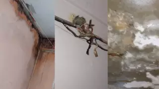 "Скоро эта общага провалится": ужасающие условия проживания людей в Актобе сняли на видео