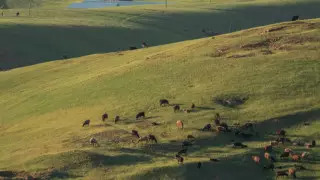 Сотрудник акимата в Жамбылской области попался на махинациях с землей