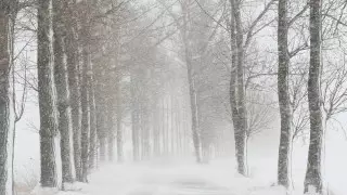 Метели и тепло до 17 градусов: погода в Казахстане на 28 декабря