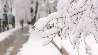 Сильный снег, ветер и гололед: погода в Казахстане на сегодня