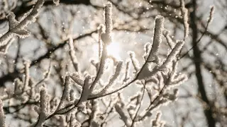 Оттепель пообещали казахстанцам на Новый год