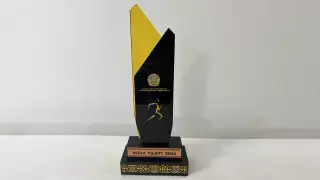 Тимур Турлов назван лучшим президентом спортивной федерации