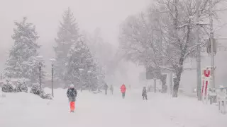 Штормовое предупреждение на 1 января объявили почти во всем Казахстане