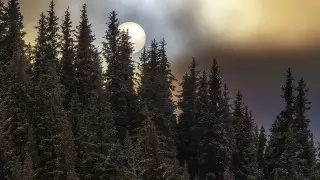 "Словно сгенерированы ИИ". Магические кадры сняли в Алматы