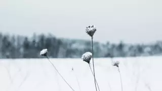 30-градусные морозы и сильный снег ожидаются в Казахстане