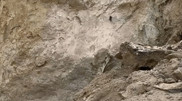 Автобус с людьми провалился под землю: появились кадры спасательной операции