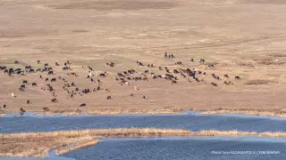 "Вода в 2 раза дорожает": фермеры просят избавить их от посредников на юге Казахстана