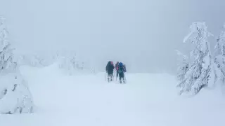 Слабое развитие инфраструктуры, низкий уровень цифровизации: какие нарушения выявили в Kazakh Tourism