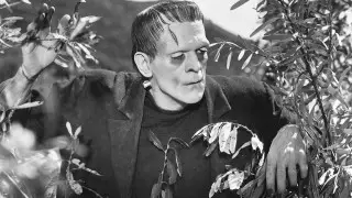 Стало известно, кто сыграет Франкенштейна в фильме дель Торо