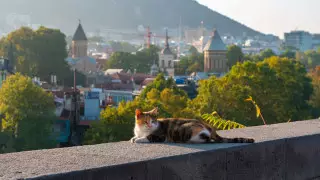 "Красивые люди и ветхие дома": казахстанка рассказала о поездке в Тбилиси