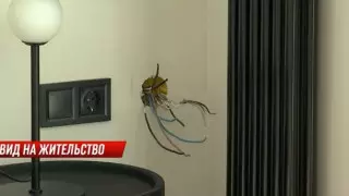 Владельцы квартир в элитном ЖК Алматы больше года не могут заселиться