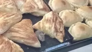 Мышь поедала самсу в алматинском ларьке: жители сняли видео