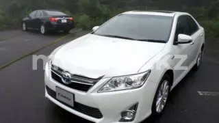 "Перебили VIN-код". Казахстанка не успела переоформить армянское авто