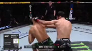 Заявка на титул? Боец UFC получил бонус за эффектный нокаут