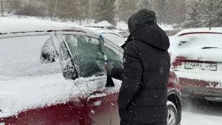 МВД опубликовало обращение к казахстанским водителям