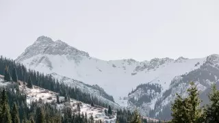 Больше 50 объектов незаконно построили в горах Алматы