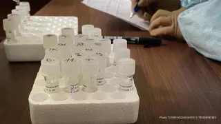 Названы регионы с неблагоприятной ситуацией по кори в Казахстане