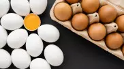 Россия попросила у Казахстана яйца
