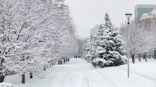 Снежный циклон из Европы надвигается на Казахстан