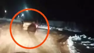 Катал на санях, прицепленных к авто: водителя привлекли к ответственности