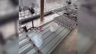 Иностранцы организовали несколько нарколабораторий в Казахстане