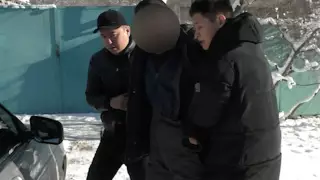 Марихуану выращивал в погребе житель Тараза