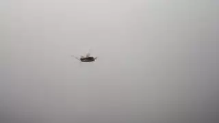 Казахстанец пожаловался на таракана в поезде Астана – Атырау