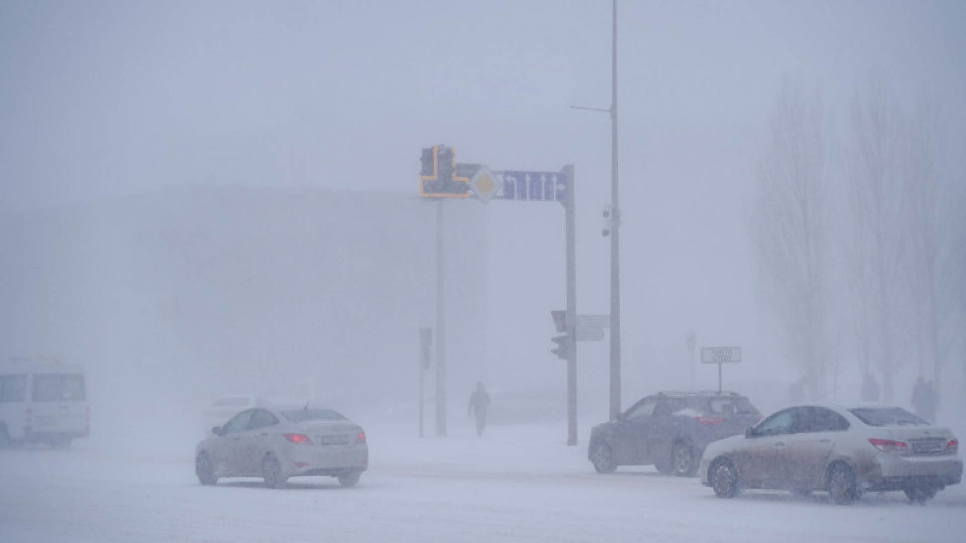 Налипание снега на провода и деревья. Метель в подмосковье сегодня. Метель в подмосковье сегодня. Метель в подмосковье сегодня. Метель подмосковье.