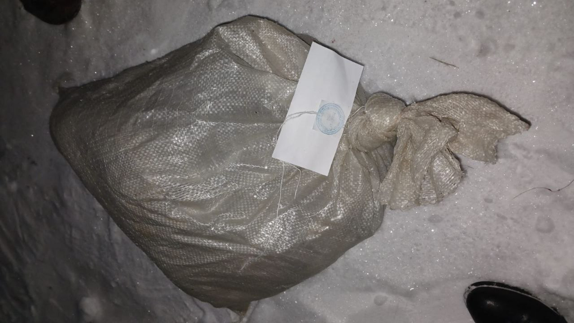 любовь отца. пора папы. карикатуры смешные. день отца фото. детские анекдоты в картинках.