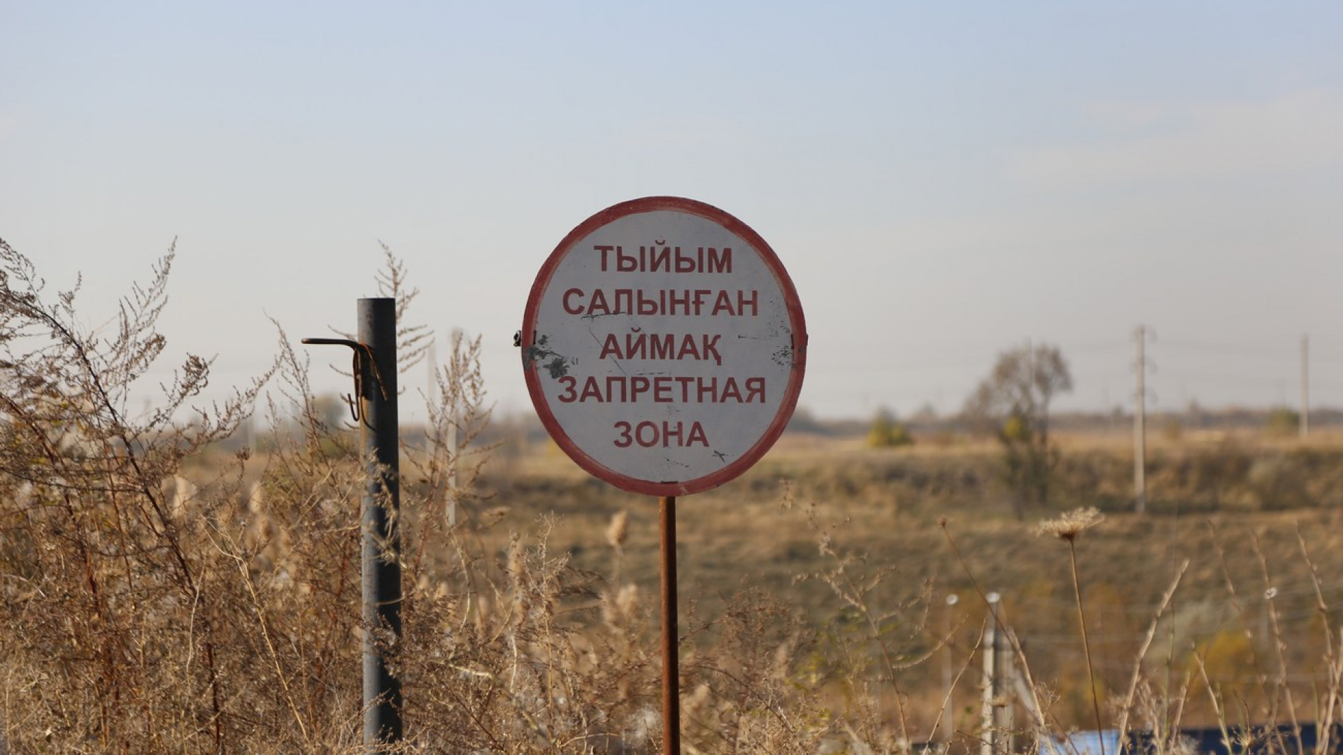 Начальник кричит на подчиненного. Корпоративный конфликт. Грубый человек. К грубым нарушениям лицензионных требований относят:. Грубый деятельность.