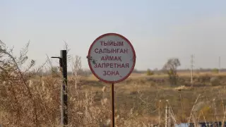 Десятки бесхозных захоронений сибирской язвы нашли в области Жетысу