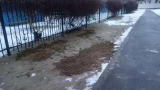 Поножовщина возле детского сада произошла в Актау