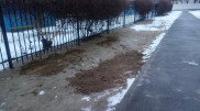 Поножовщина возле детского сада произошла в Актау