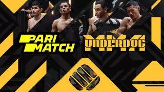 Underdog MMA: Возвращение к старой школе
