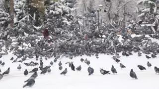 Метели и 30-градусные морозы: погода в Казахстане на 31 января