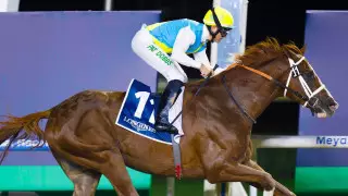 Скакун Кабирхан из Казахстана покоряет мир своим мастерством