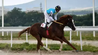 "Сатпаймын!" Қазақты қуантып, Дубайда бірінші келген Кабирханның иесі сұхбат берді