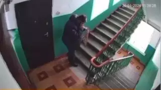 В краже подъездного коврика заподозрили высокопоставленного полицейского в ВКО