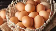 "К этому надо привыкнуть" - глава Минторговли о росте цен на яйца